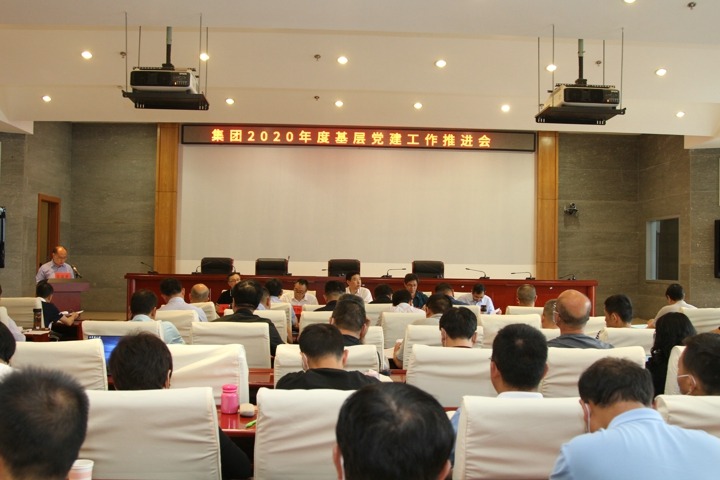 集团党委召开 2020年党建工作推动会