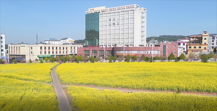 【主题宣传周】恩洪煤业公司党委深刻践行生态文化思想　激活“绿色矿山”发展新动能