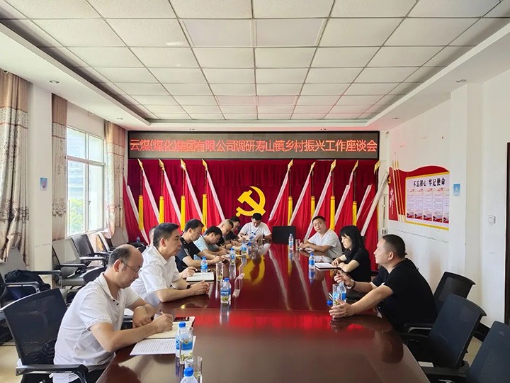 集团党委副书记、工会主席王鑫一行深刻集团村落振兴挂钩助扶点寿山镇调研