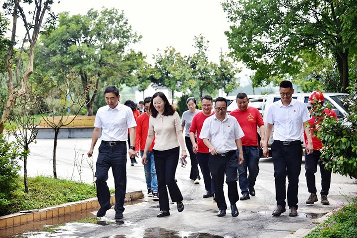 【聚焦云煤】云南省委主题教育第21巡回领导组到恩洪煤业公司督导工作