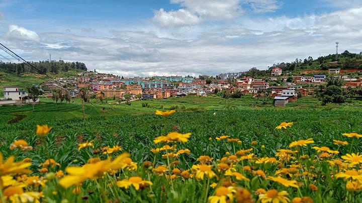 【云煤岁月】笃行不辍谋发展，砥砺奋进谱新篇——平煤故事（一）