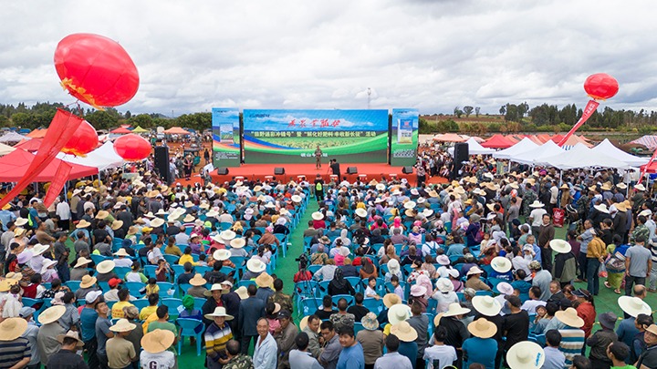云南解化｜“快递幼哥”的三农情怀，温暖民气促发展