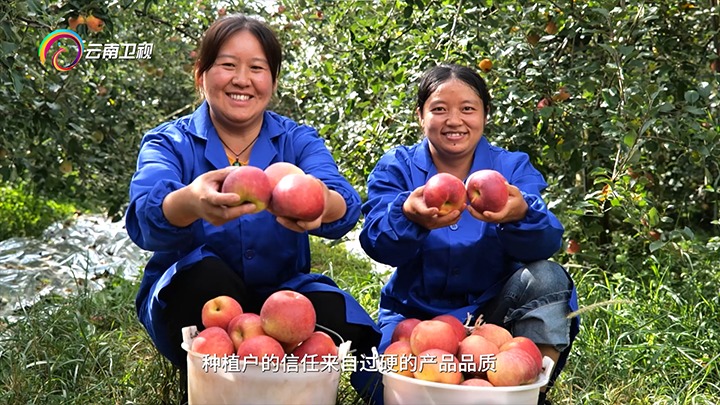 《云南卫视》播报：云煤集团解化好肥助力“三农”发展，共绘村落振兴“幸；怼
