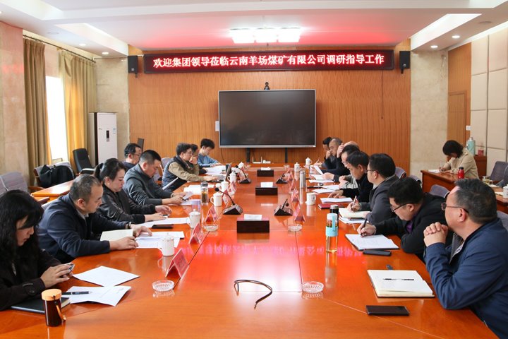 云煤集团党委委员、副总经理缪和星到云南羊场煤矿有限公司调研