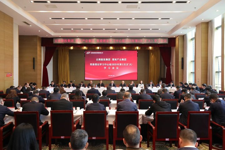 能投集团、煤炭产业集团党委发展理论进建中心组2025年第2次（扩大）进建会议?